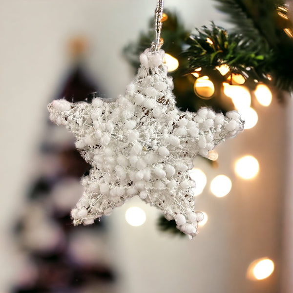 Winter Wonderland Star Ornament