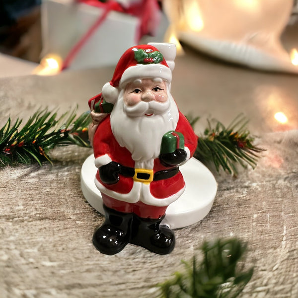 Santa Paper Towel Holder